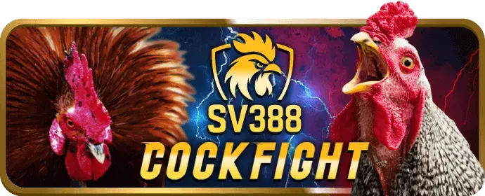 Hướng dẫn nạp rút tiền BK8 Game