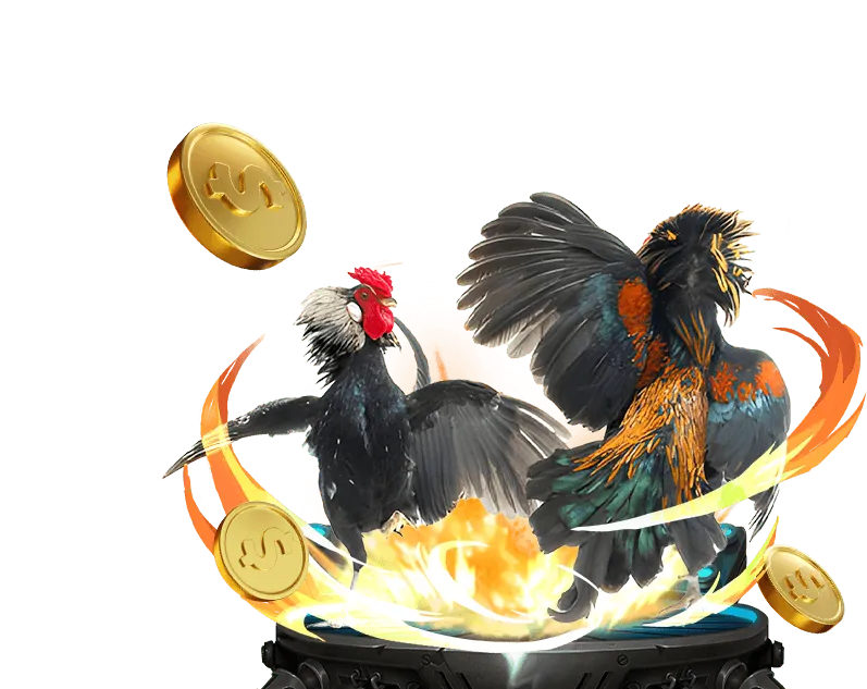 Giới thiệu đá gà trực tuyến bk8 game